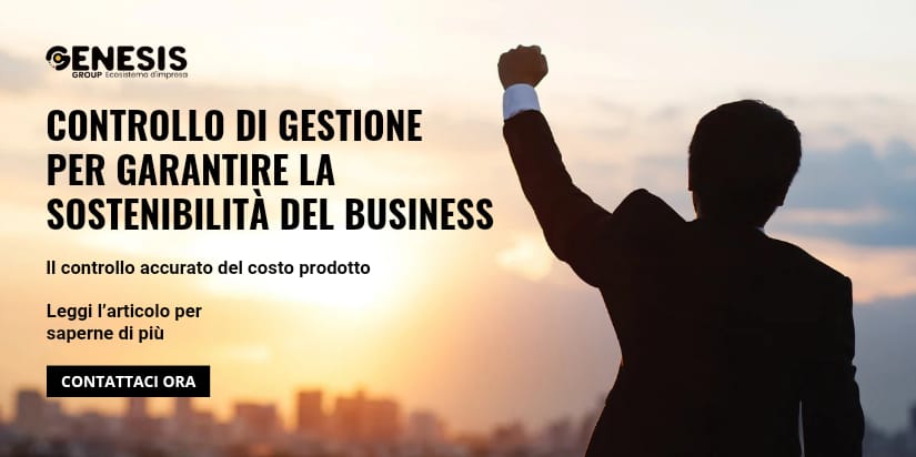 Il controllo di gestione Il controllo di gestione